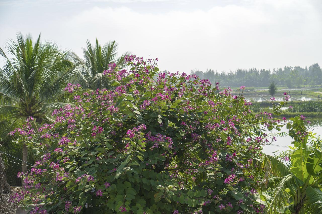 Hoi An Luna Villa Kültér fotó