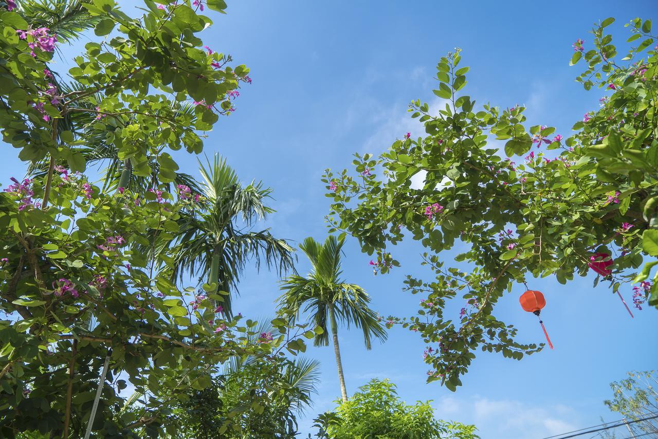 Hoi An Luna Villa Kültér fotó